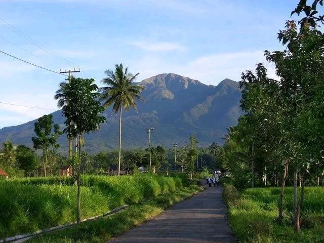 Banana Bungalows Tetebatu Ngoại thất bức ảnh