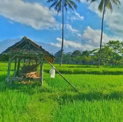 Banana Bungalows Tetebatu Ngoại thất bức ảnh