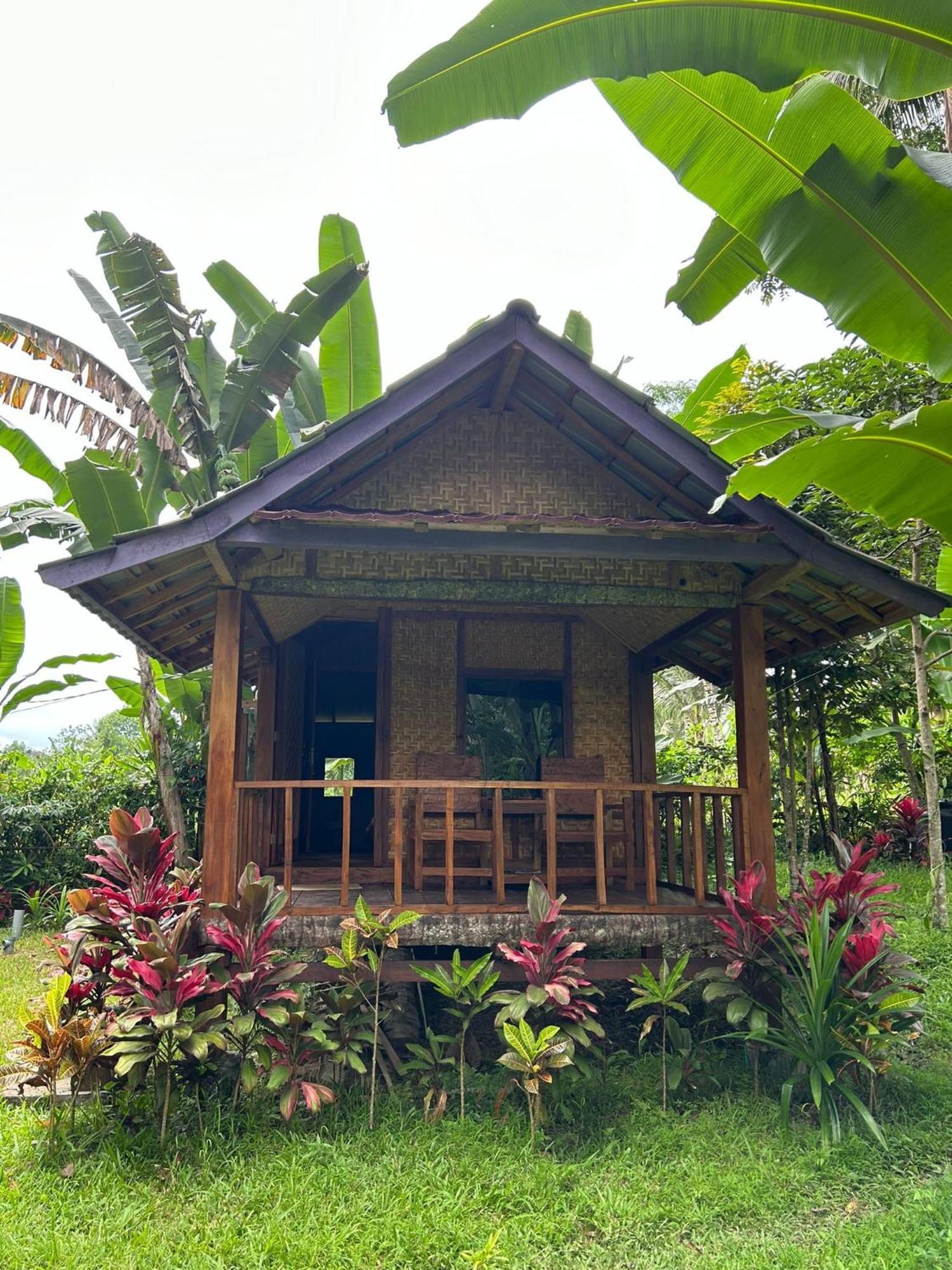 Banana Bungalows Tetebatu Phòng bức ảnh