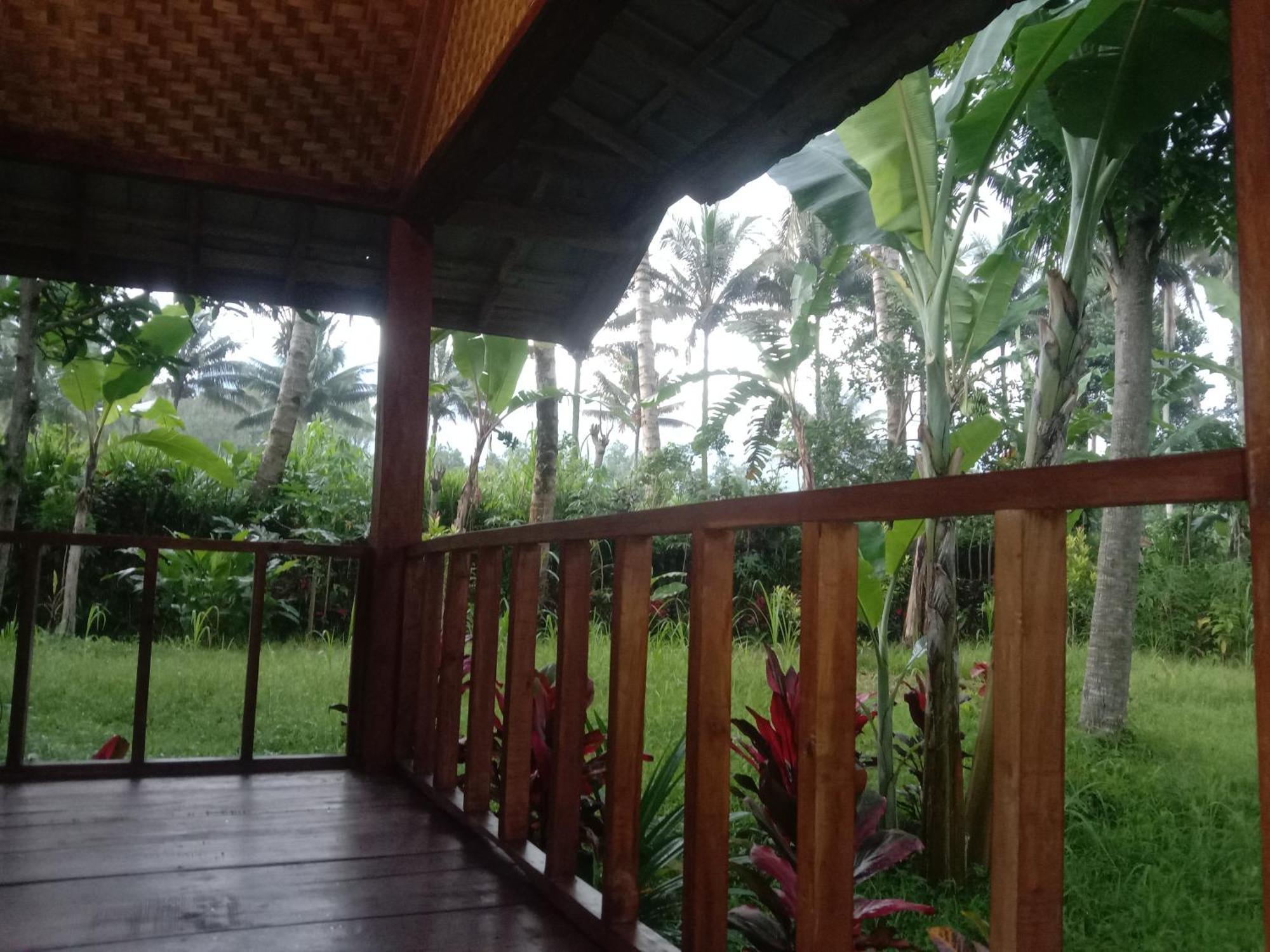Banana Bungalows Tetebatu Phòng bức ảnh